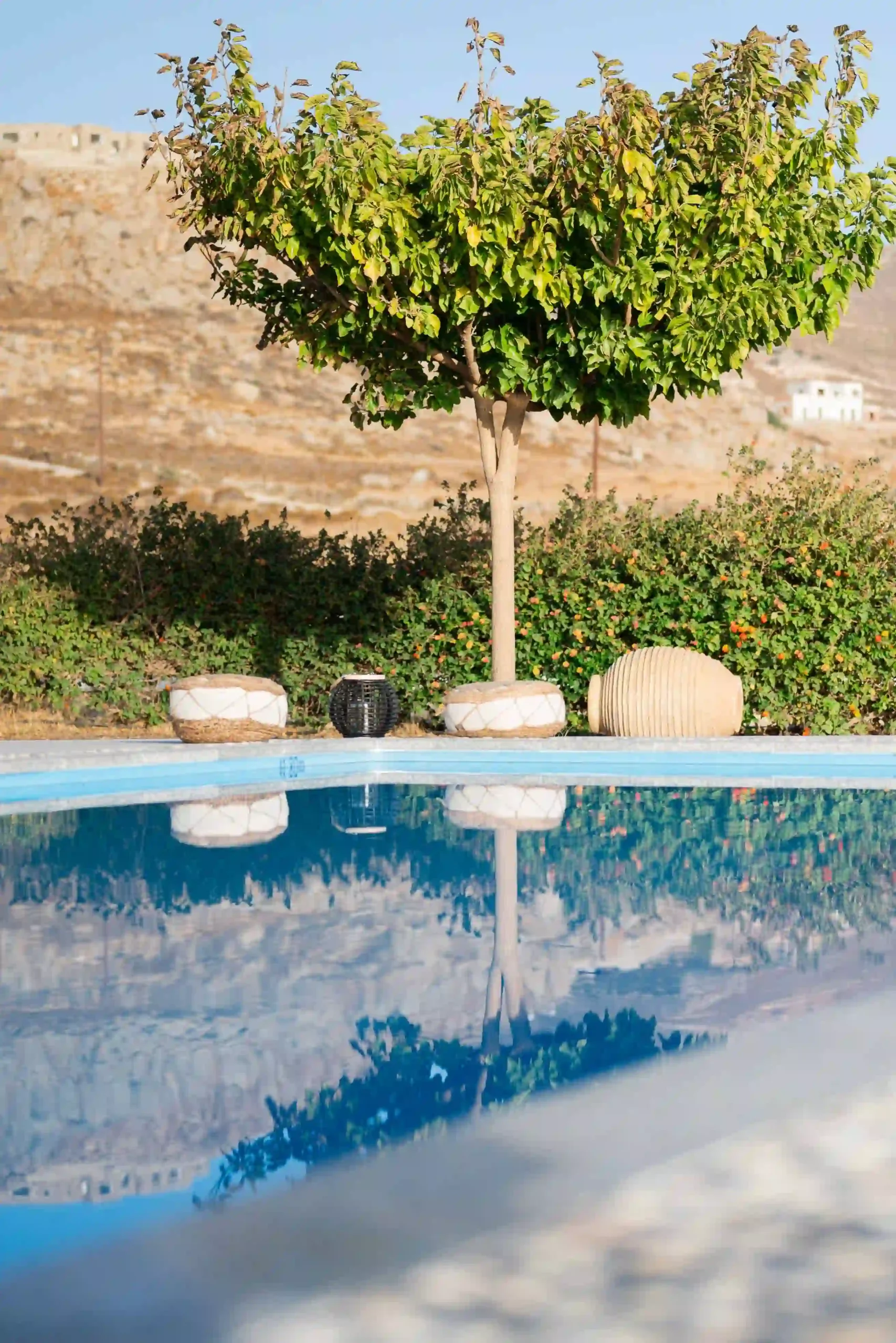 orange tree reflected on the private pool